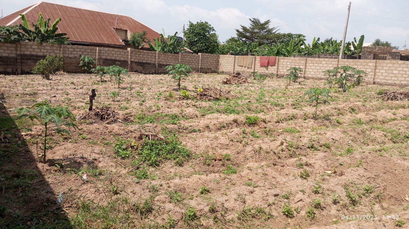 Picture of OWOBABA FARMS NIGERIA LIMITED 