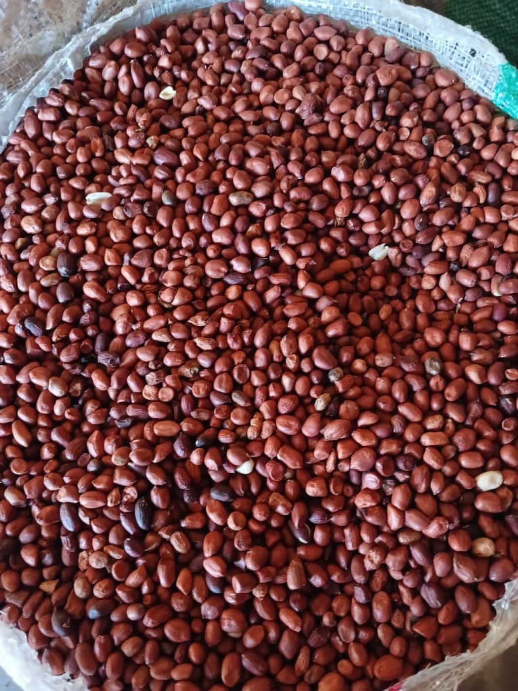 Picture of Farmbrigde investment 