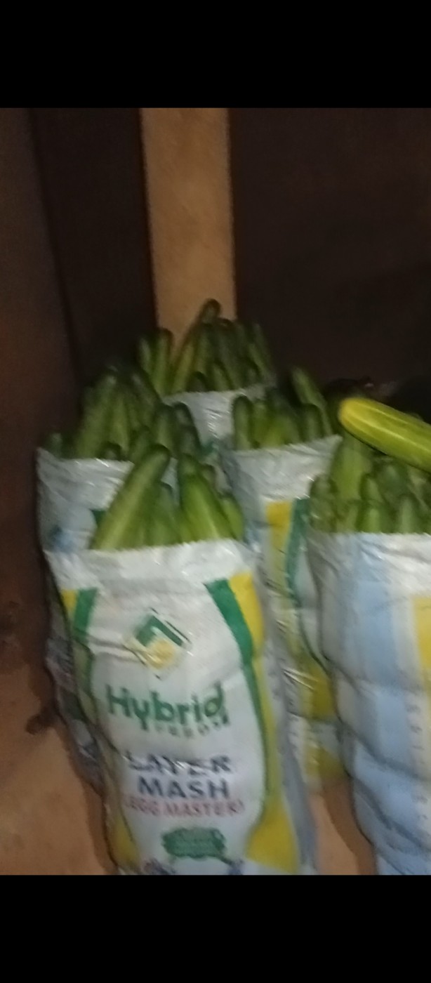 Picture of Kendo Farms and veggies plantation ltd 