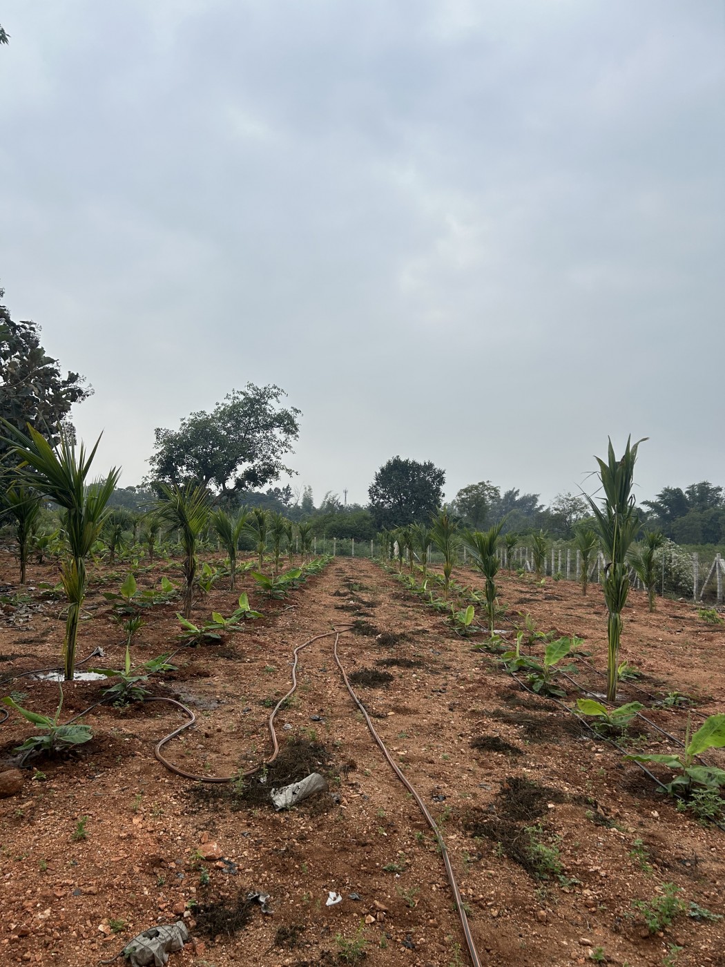 Picture of Rajath Farmhouse