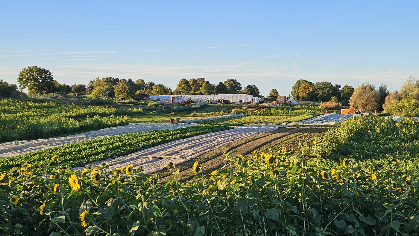 Picture of Solidarische Gemüsegärtnerei GmbH