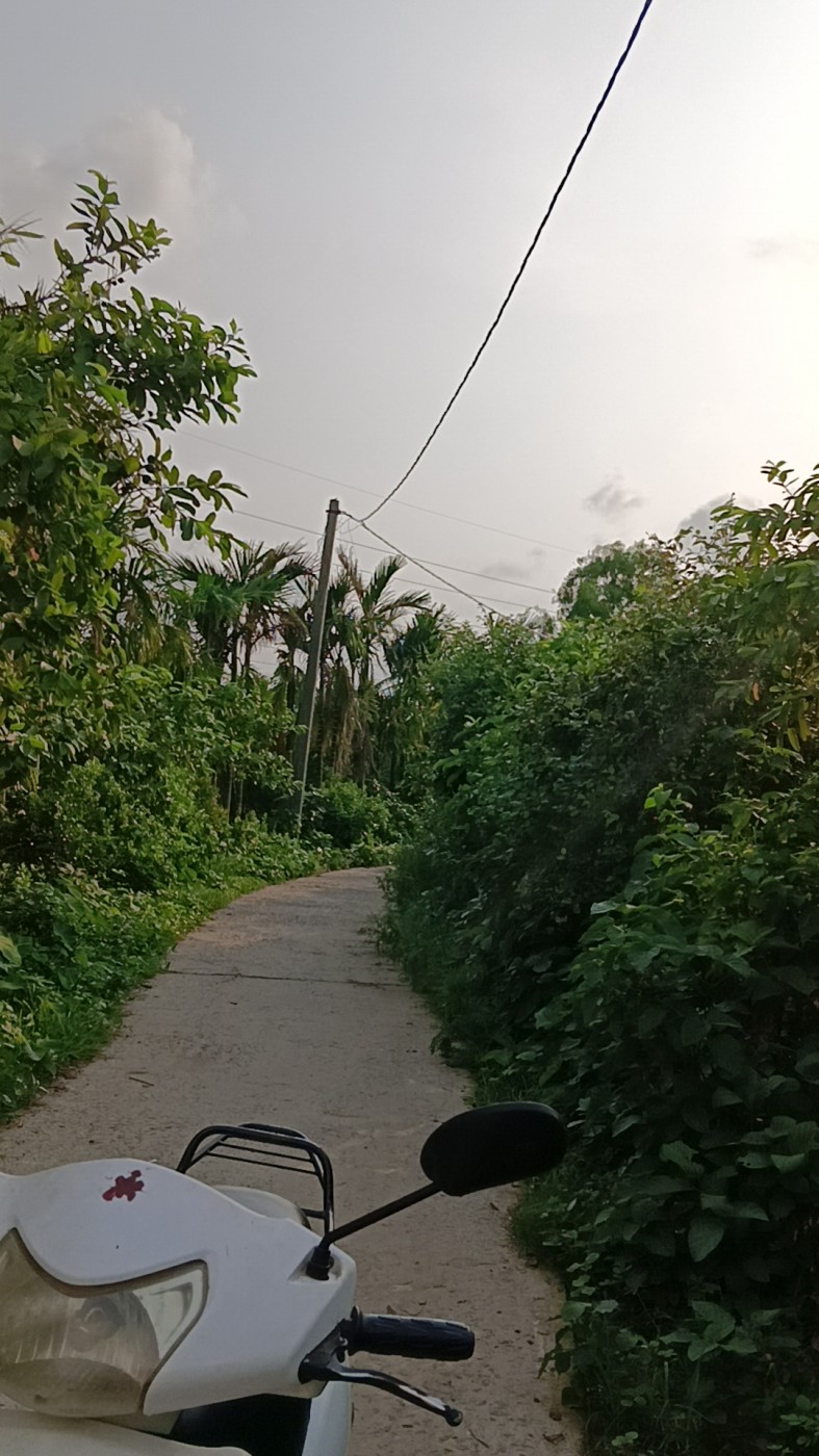 Picture of Baruipur Guava Shop