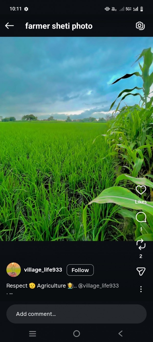 Picture of  Vihan Fresh vegetables 