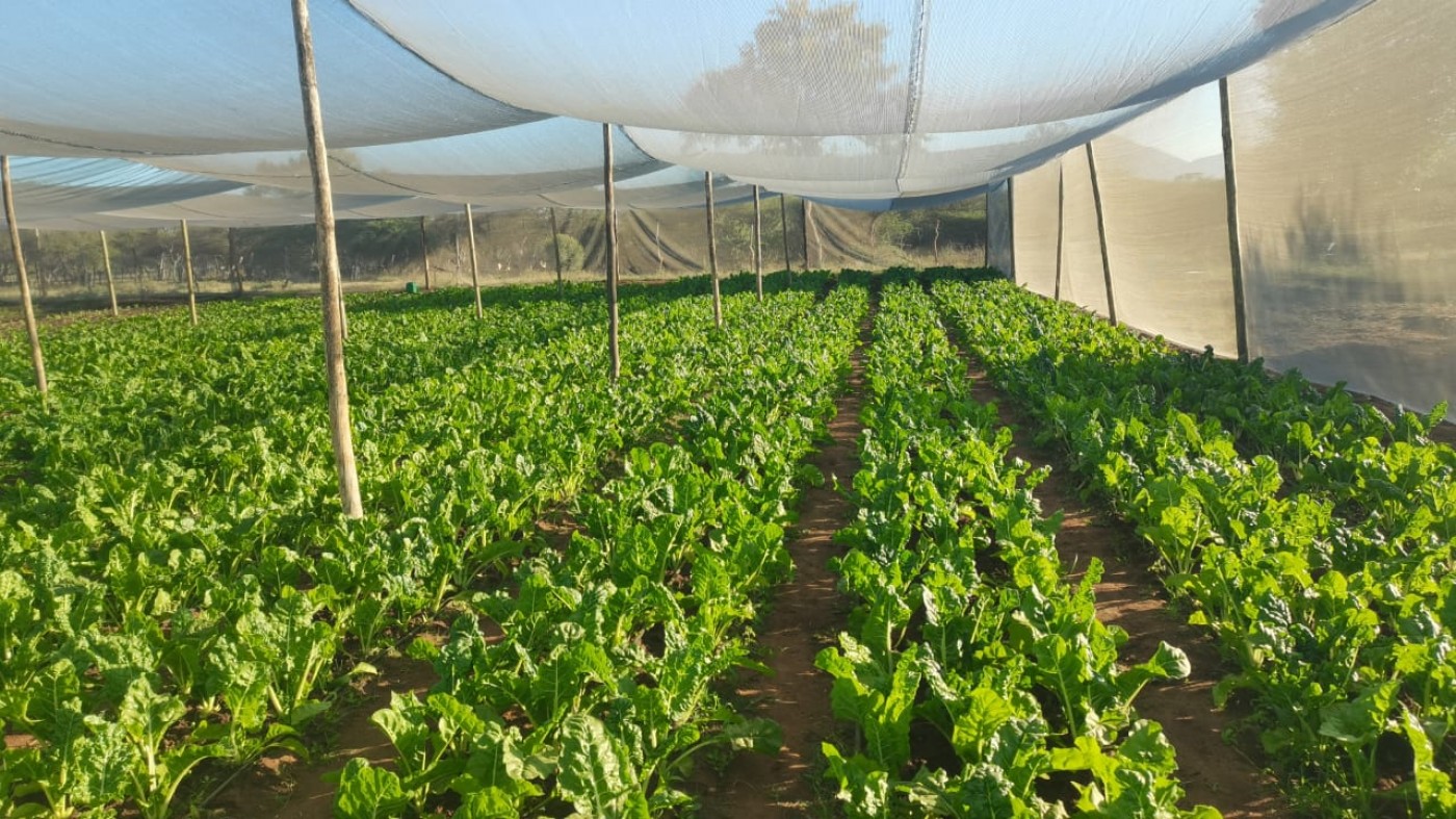 Picture of Rhenosterspruit Farm PTY LTD 