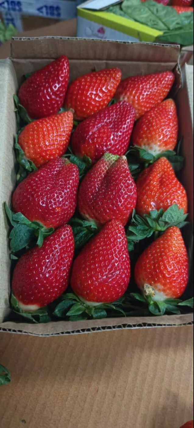 Image for strwaberry