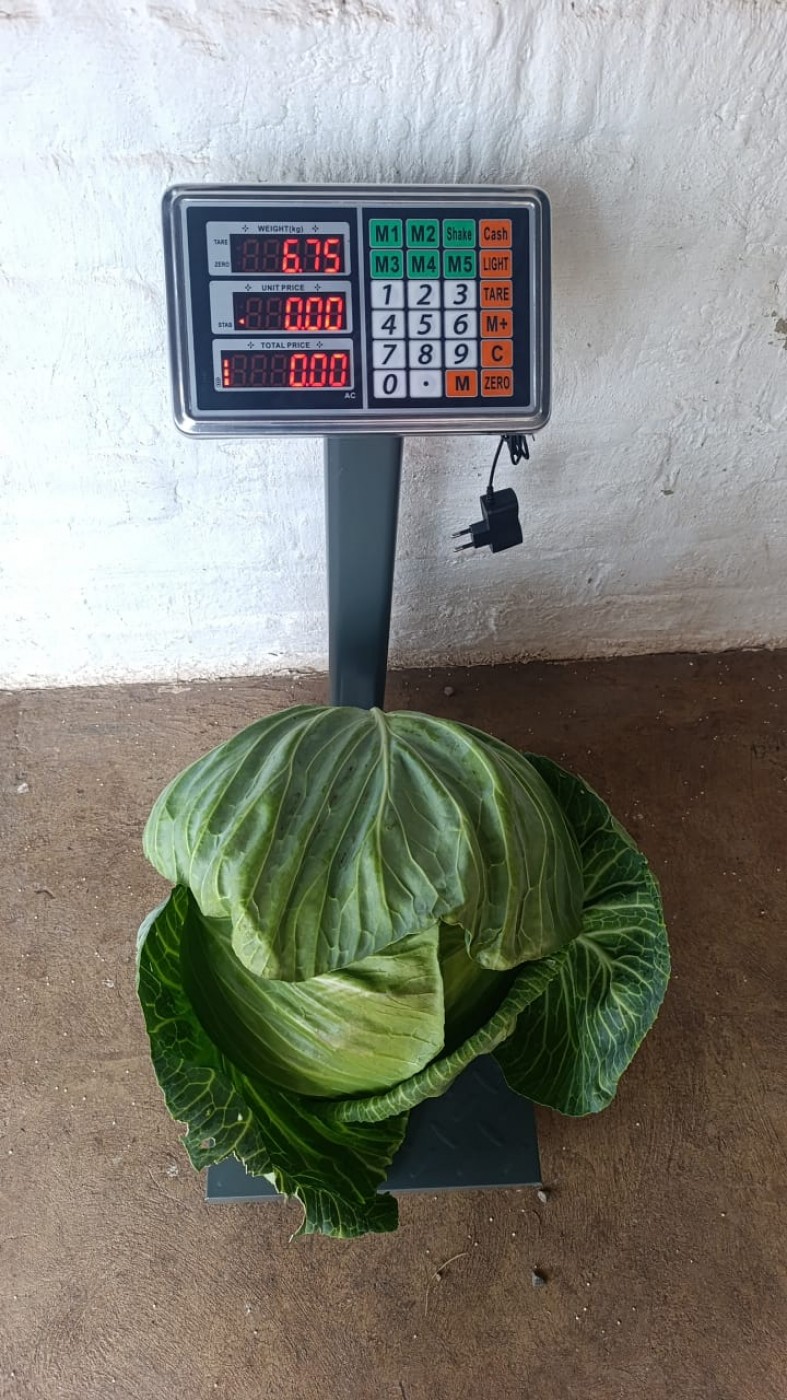 Picture of Supergrow 