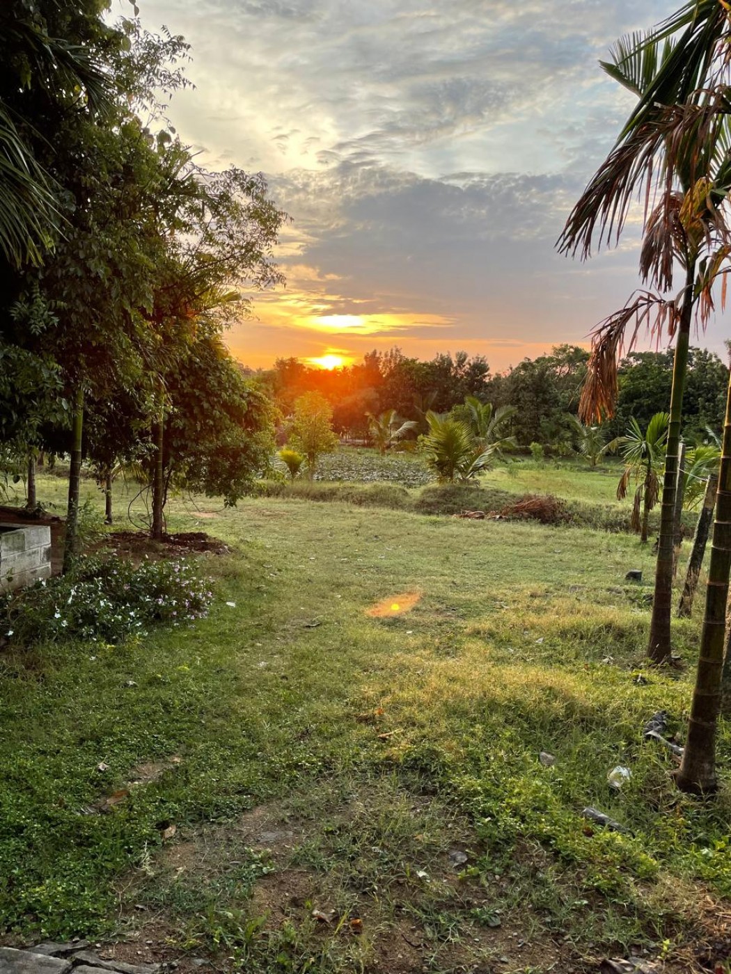 Picture of Hanumana Mane Farm