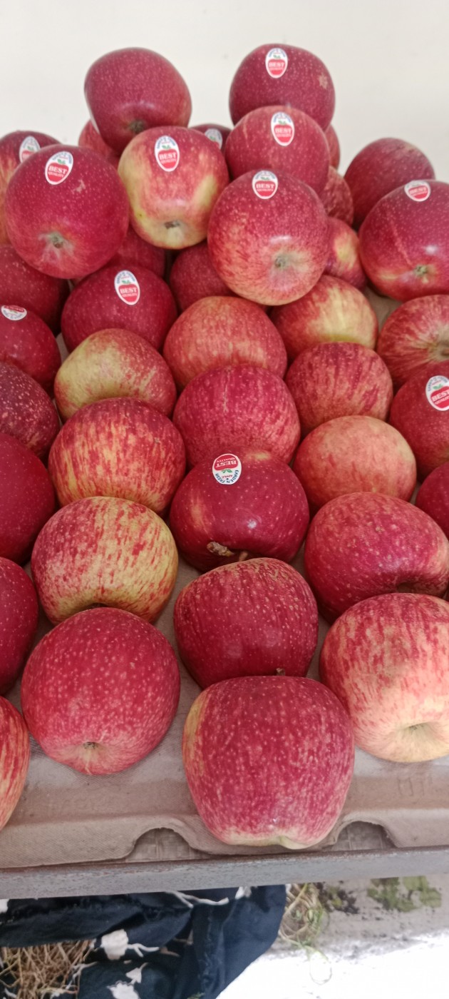 Image for Apples 5 kg order per 500 free 