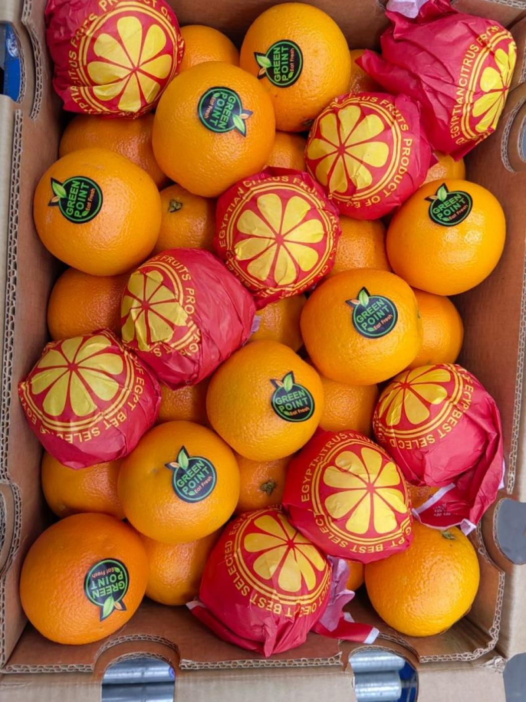 Picture for fresh Valencia orange