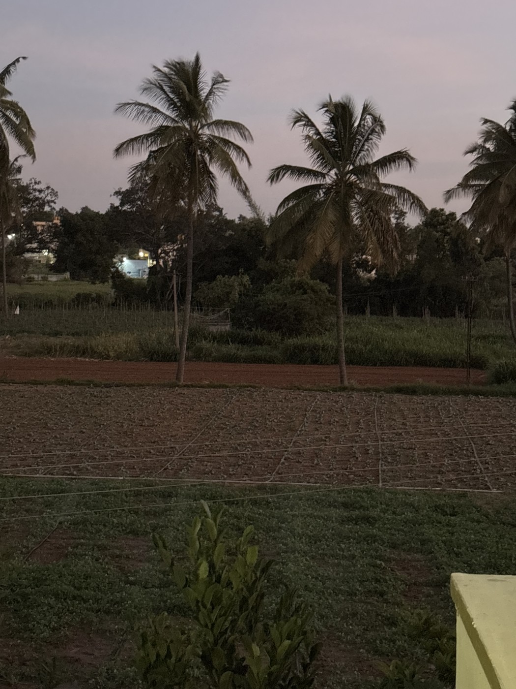 Picture of Yashwanth