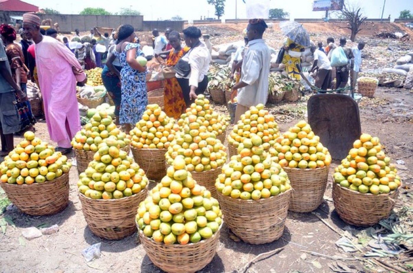 Picture for Zuba International Fruit Market