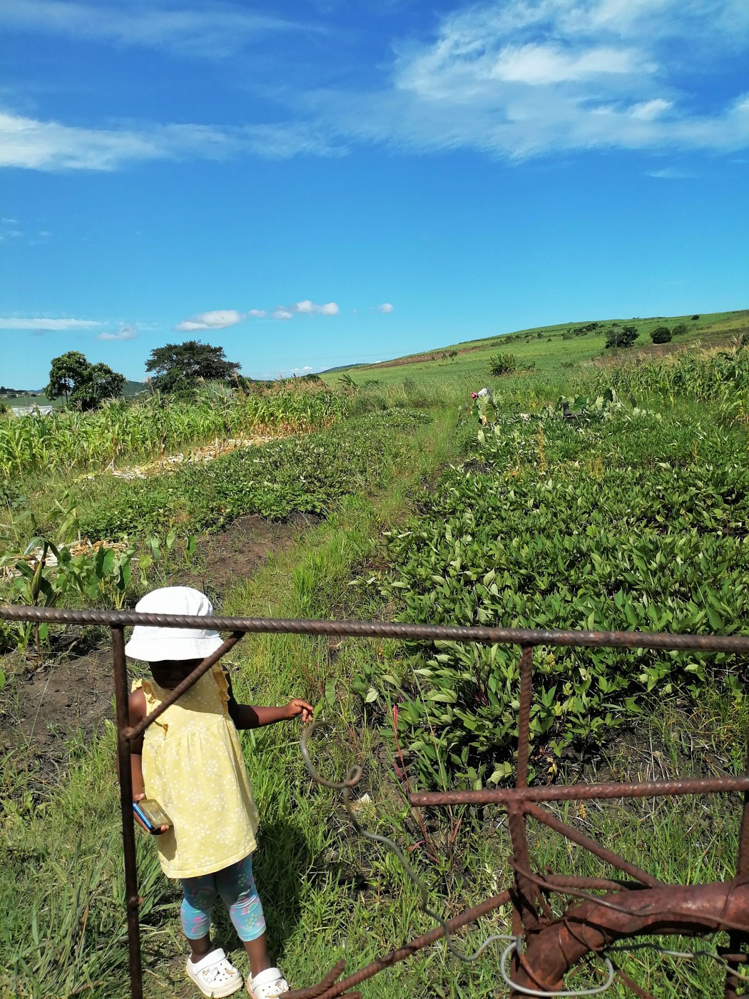 Picture of Nolwayz Agric Farming 