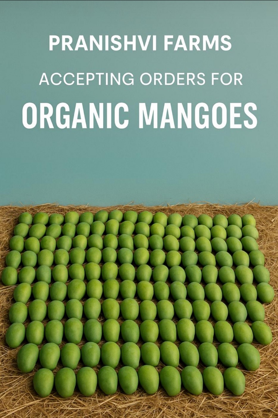 Picture of Pranshvi farms 