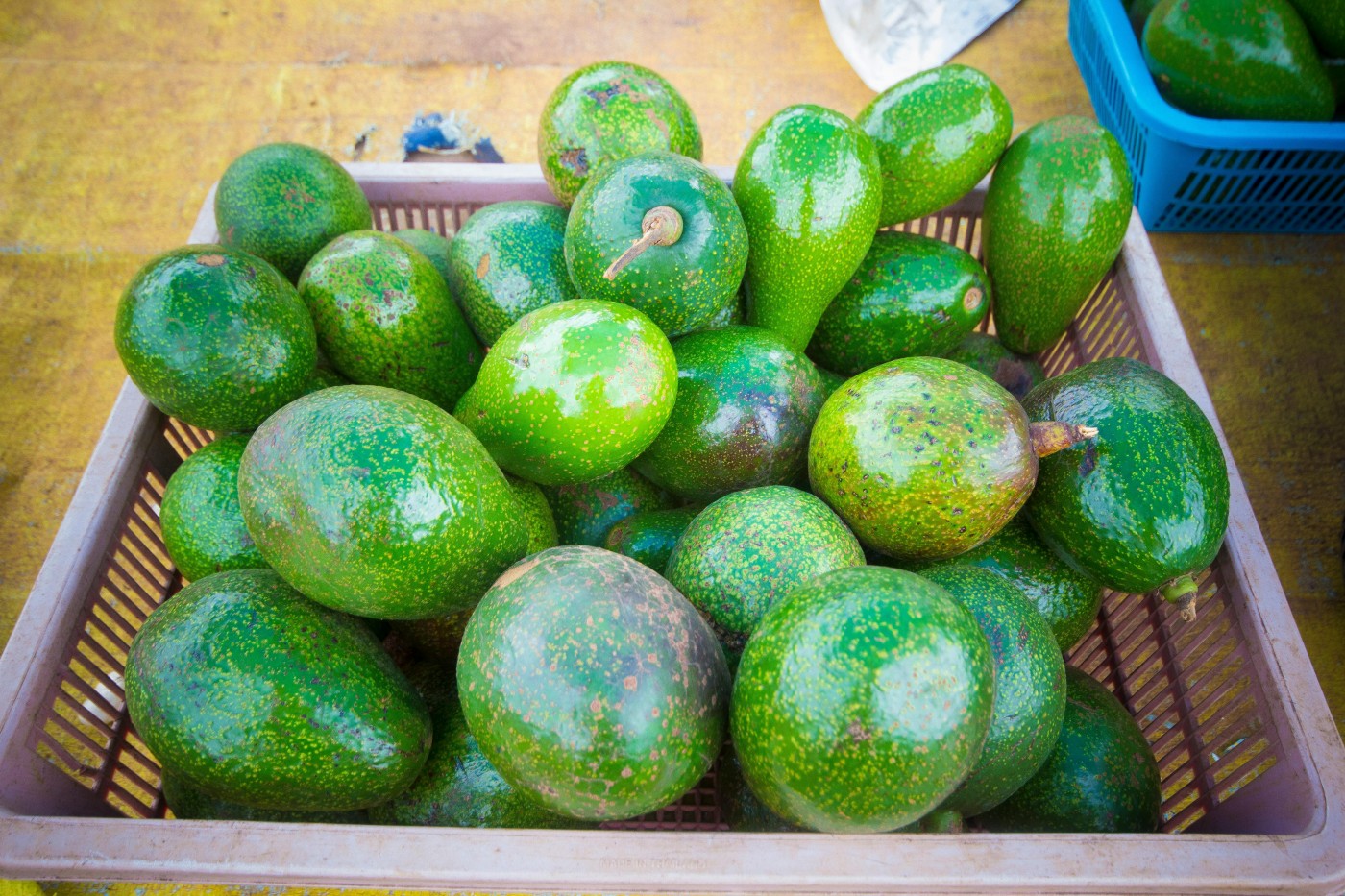 Image for Avocado