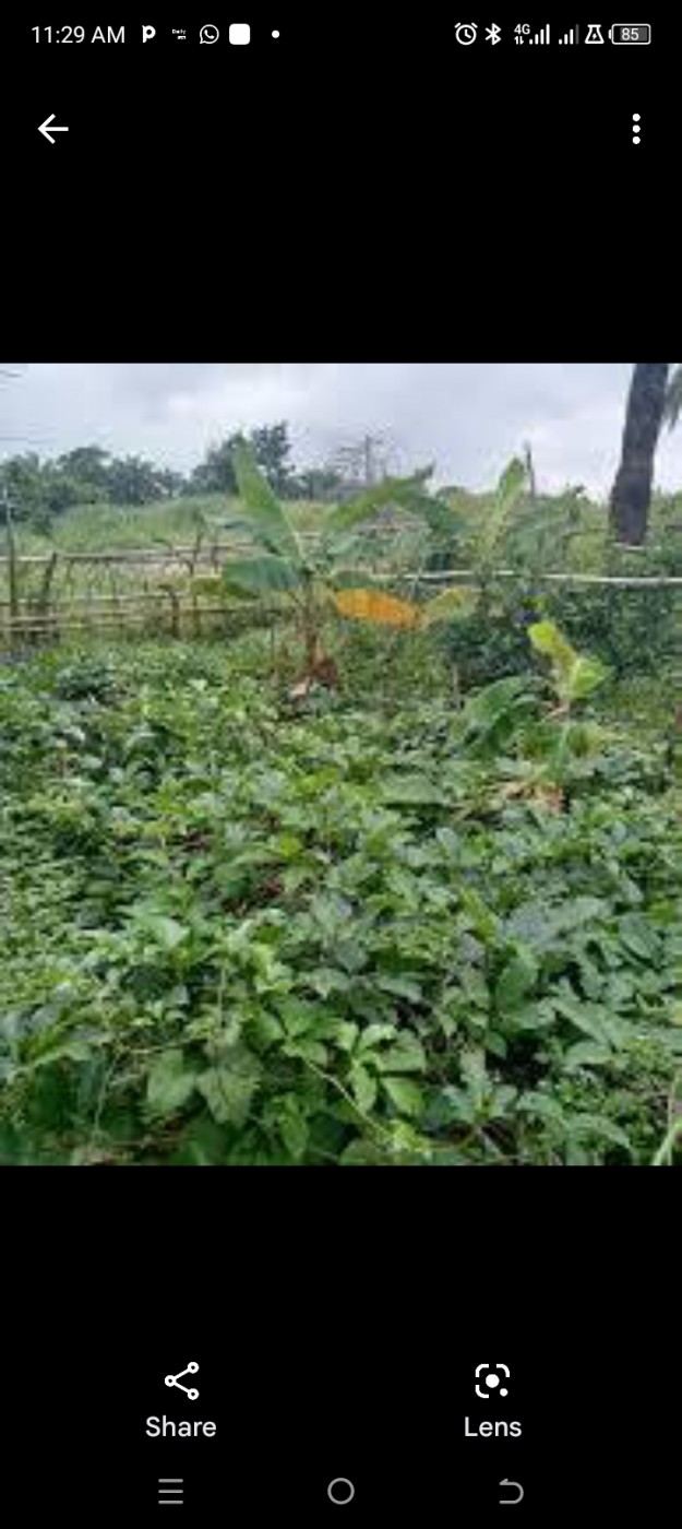 Picture of Eminent AgriTech Farm 