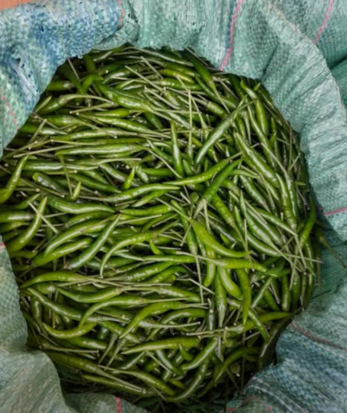 Image for Fresh green peppers 