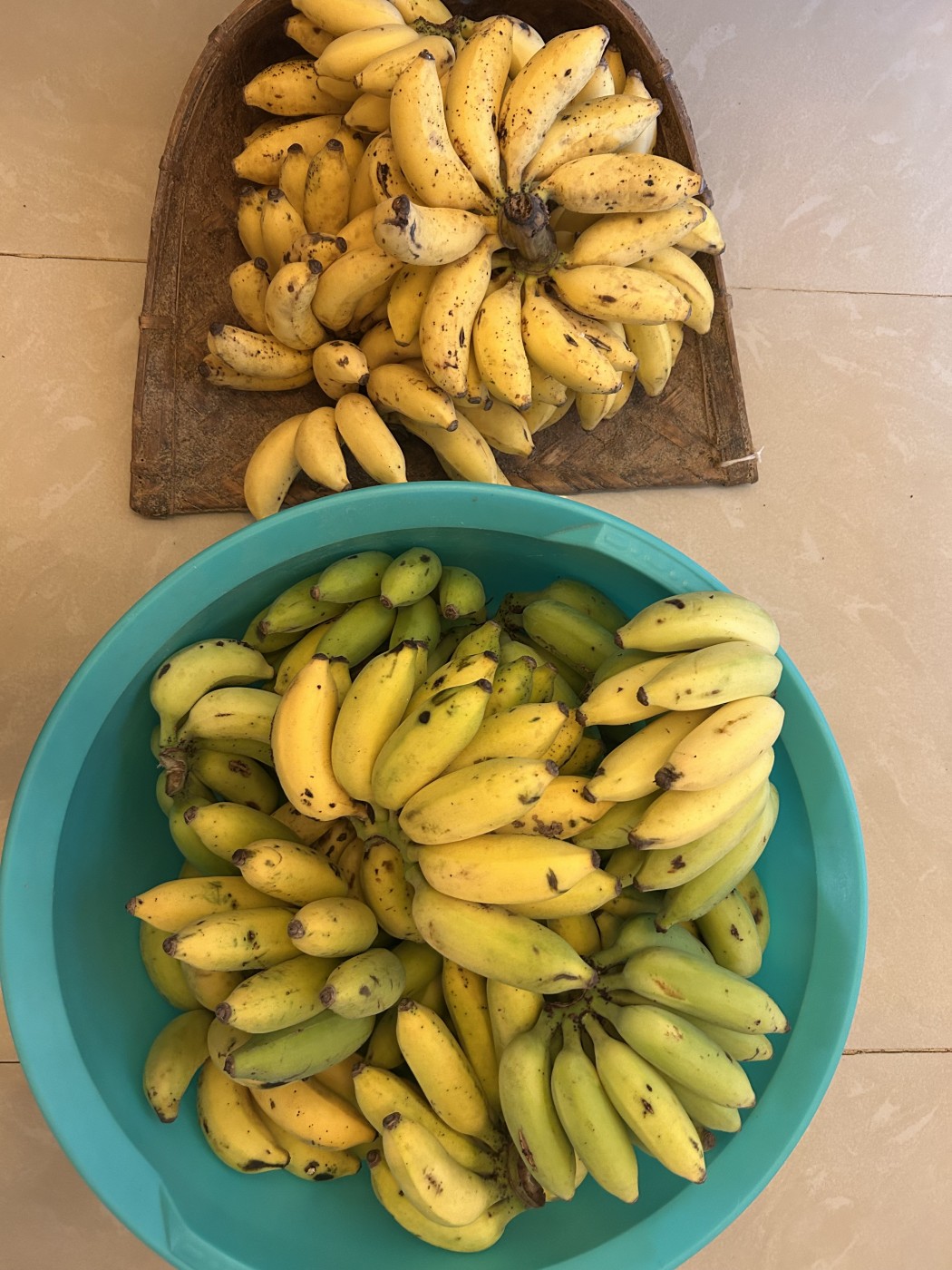 Picture of Namo farm 