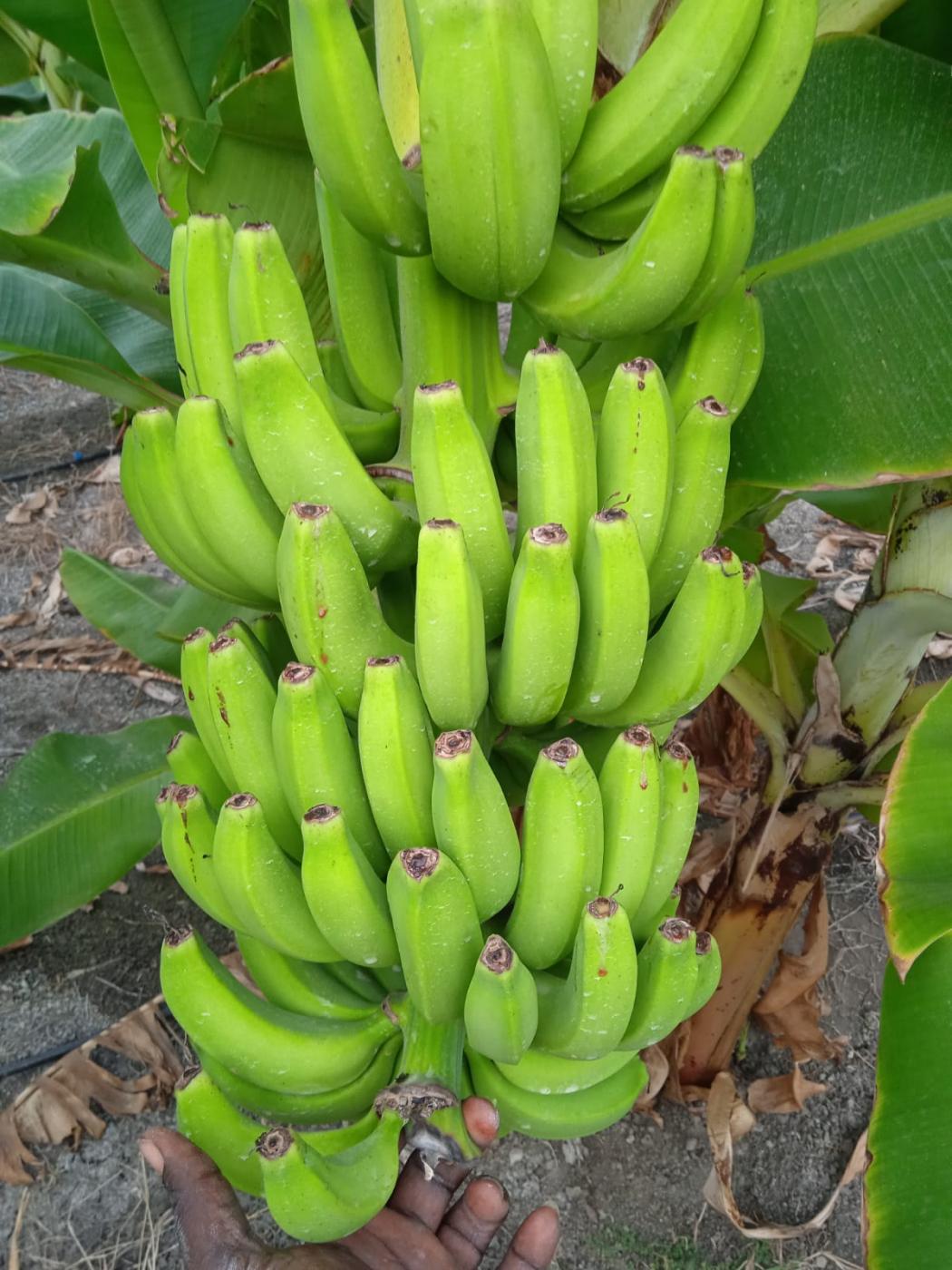 Image for At low price i will sell