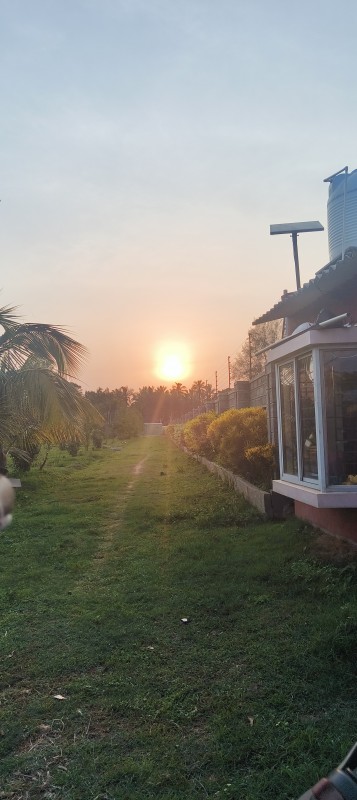 User's picture