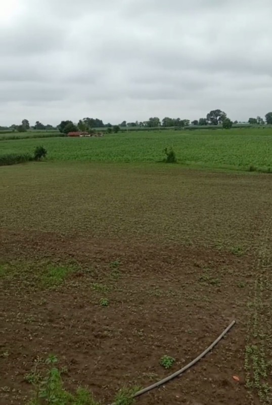 Picture of MBS farm 