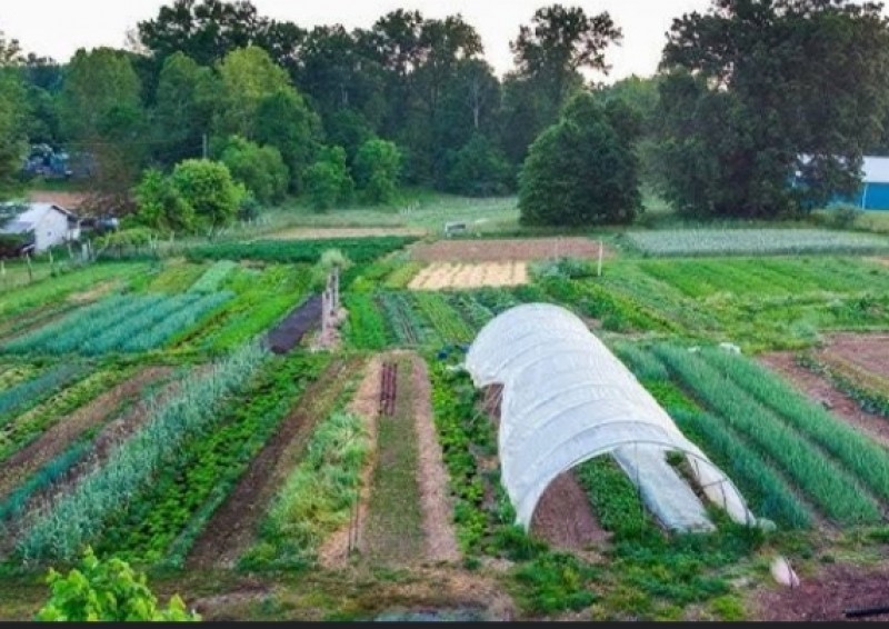 Picture of BANIKS FARM SERVICES 