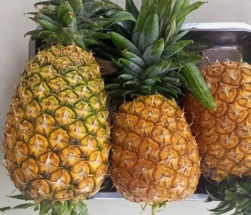 Picture for Fresh Pineapple $118 per Ton