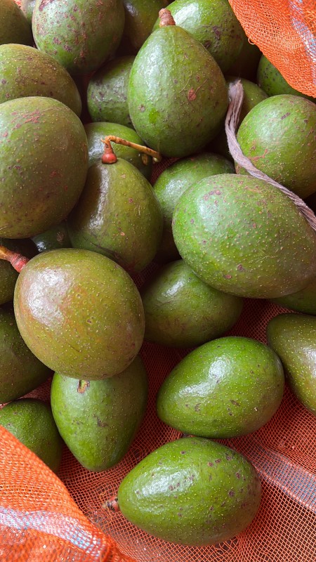 Picture for Avacado 