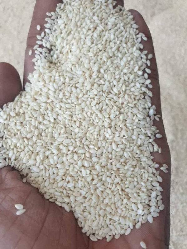Picture for Pure White Sesame Seeds (Chad Origin)