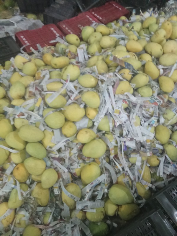 Picture of Frash mango's 🥭