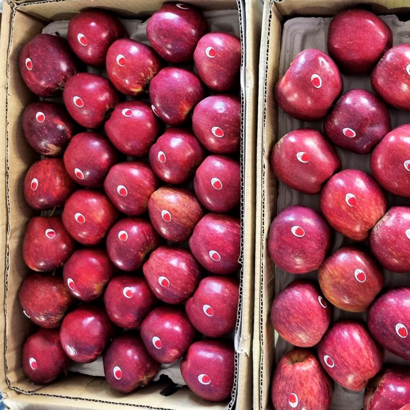 Picture for Royal Delicious Apples