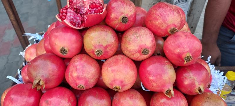 Picture of Sri lakshmipataladhamma fruits shop