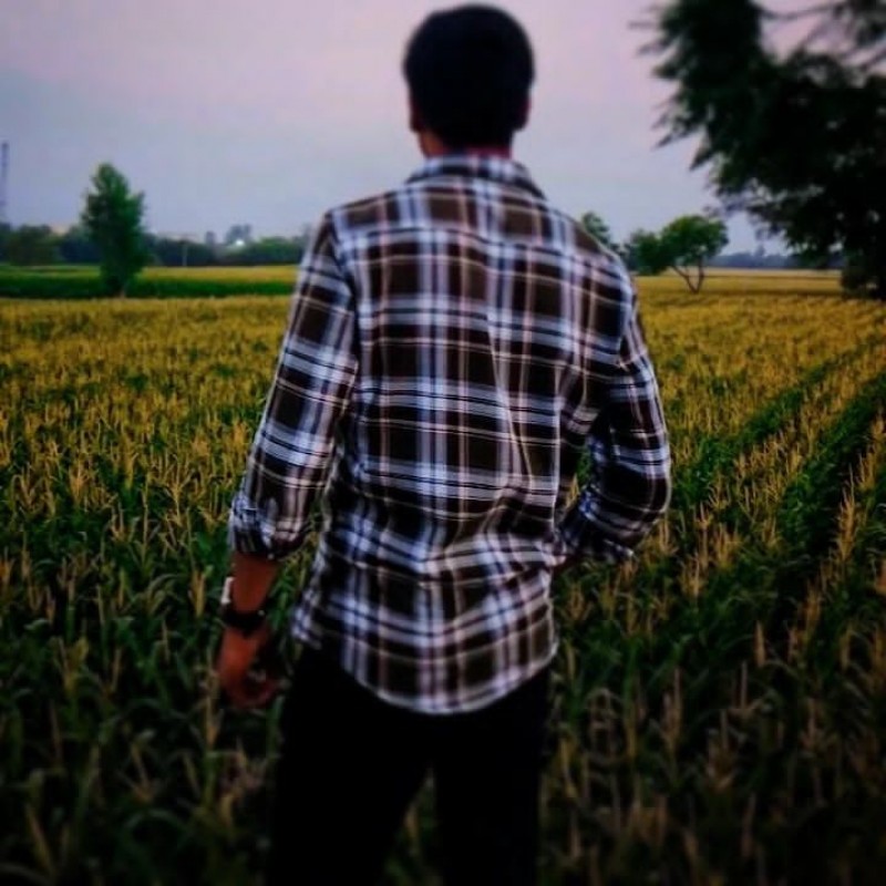 Picture of MJ FARMER 