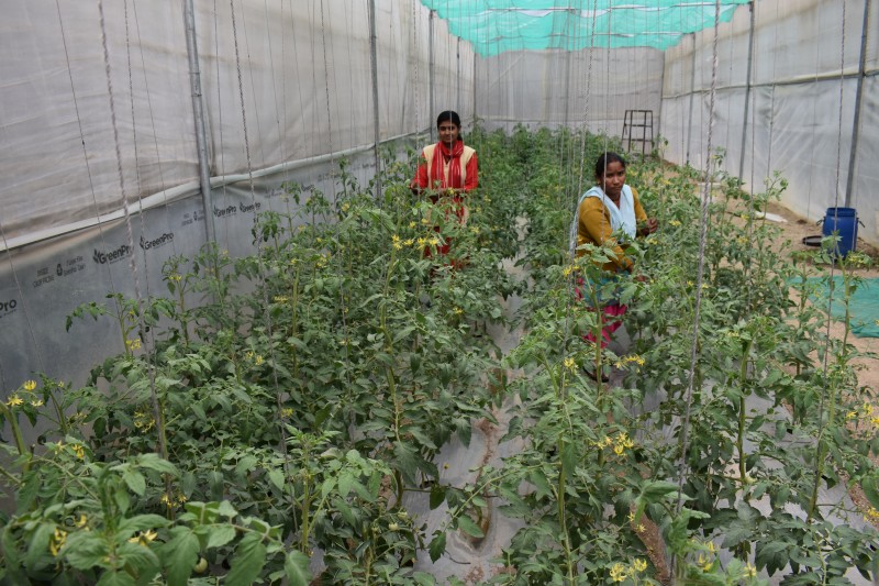 🌱 Bringing You the Best from the Hills 🌱