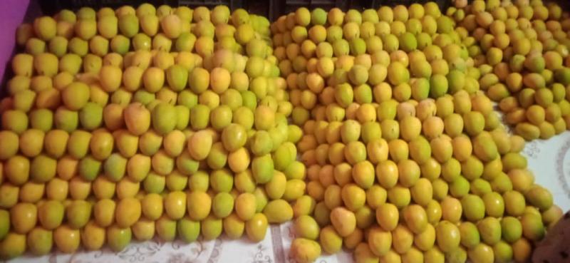 Picture for Fresh Mango