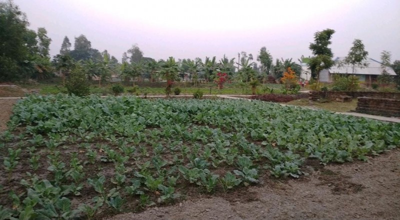 User's picture