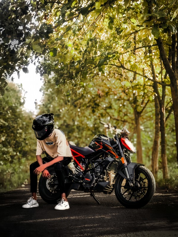 User's picture