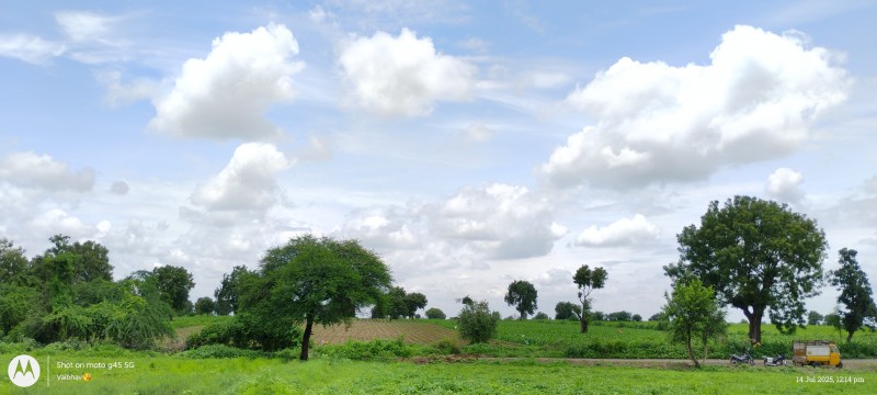 Picture of Nago koli farm 