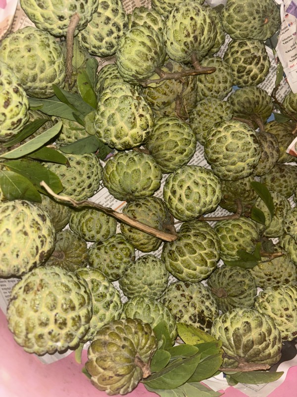 Picture for Custard apple 