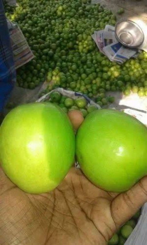 Picture for Fresh Thia apple ber 