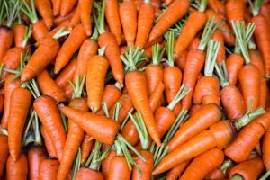 Image of Carrots 