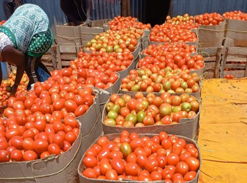 Picture for Tomatoes (Seasonal)