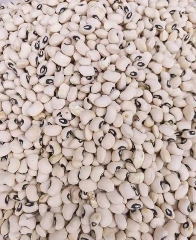 Picture for White Beans