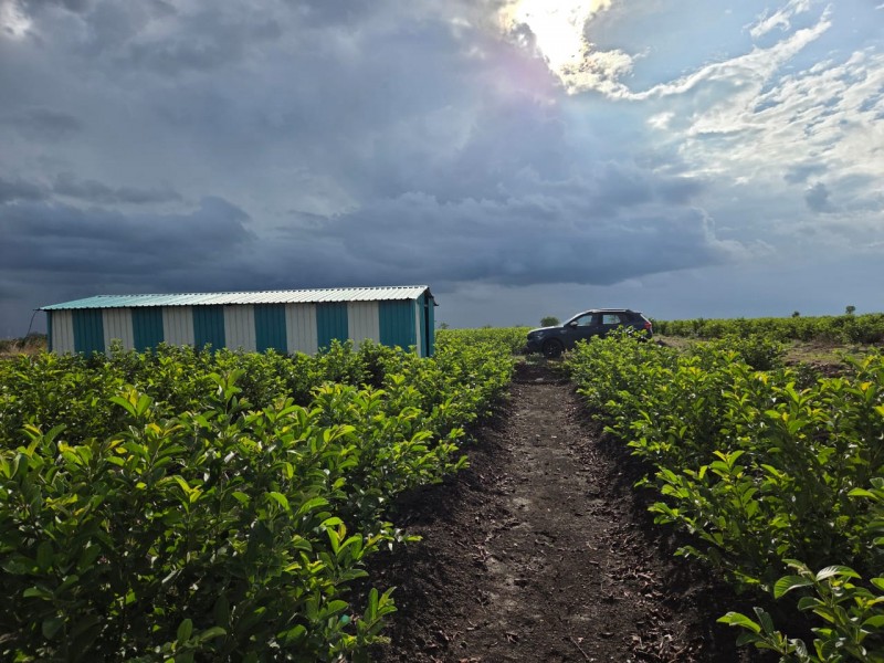 Picture of Mirgane Farm