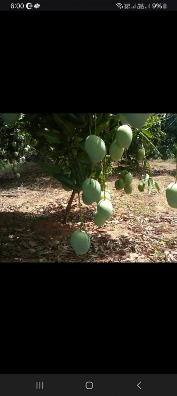 Picture of Partha farms