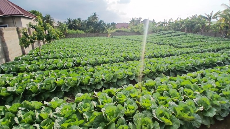 Picture of Love Sactuary