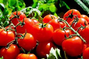 Image of Tomatoes 