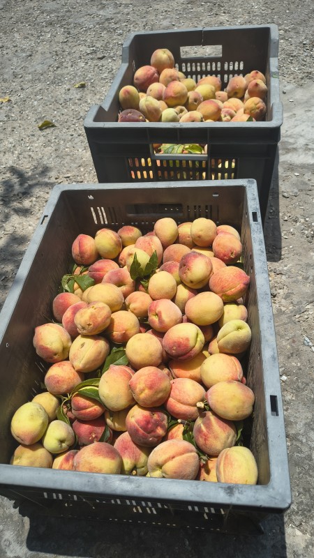 Picture of Yahvi,s med and wellness centre