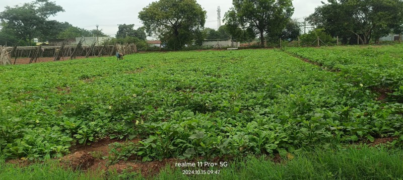 Picture of Vad agro product