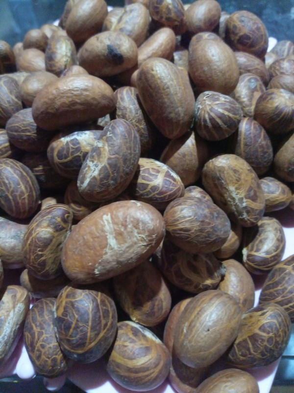 Picture of Kenzo Farm