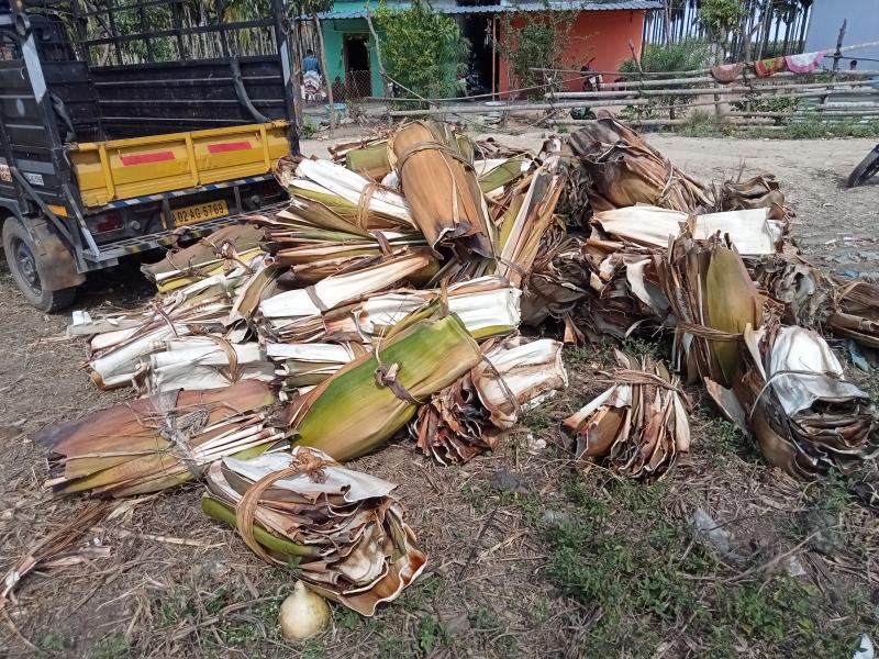 Picture for Areca Leaves (seasonal)